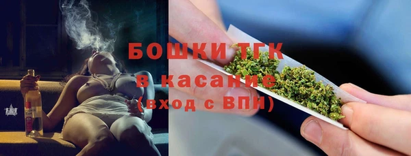 гидропоника Горняк