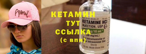 шишки Горно-Алтайск