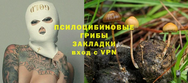 марки nbome Гусев